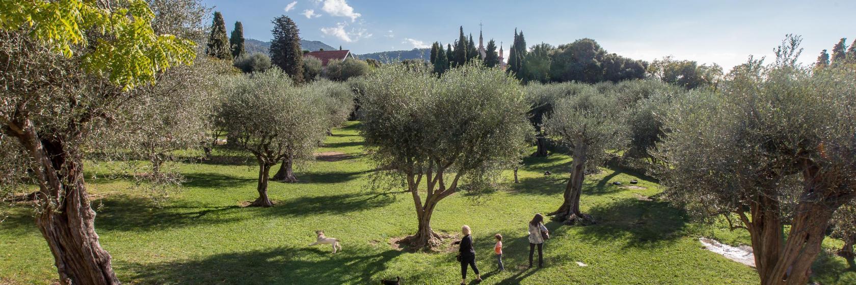 Monastero di Cimiez