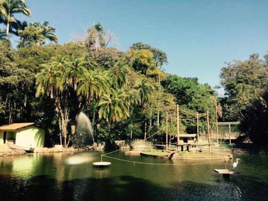 Jequitiba Woods Park