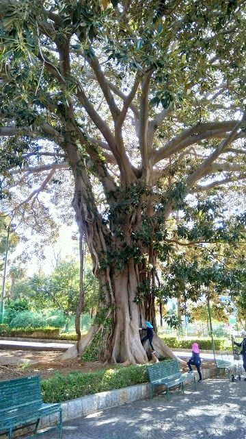 Jardín Inglés