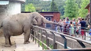 Giardino Zoologico di Pistoia