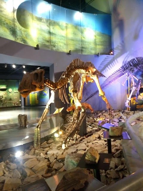 Museo del Desierto