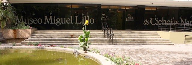 Fundación Miguel Lillo