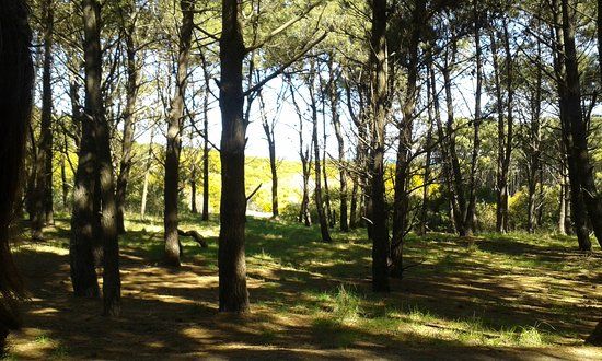 Parque Miguel Lillo