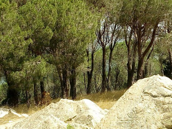 Nuraghe Ugolio