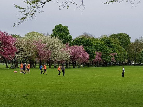 Parco The Meadows