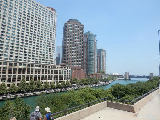 The Loop