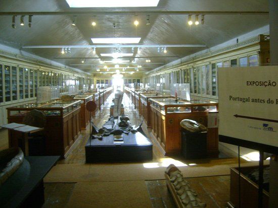 Museo geologico