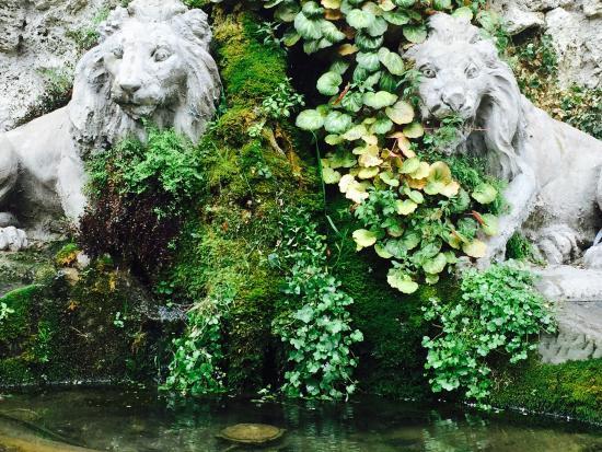 Fontana dei due leoni