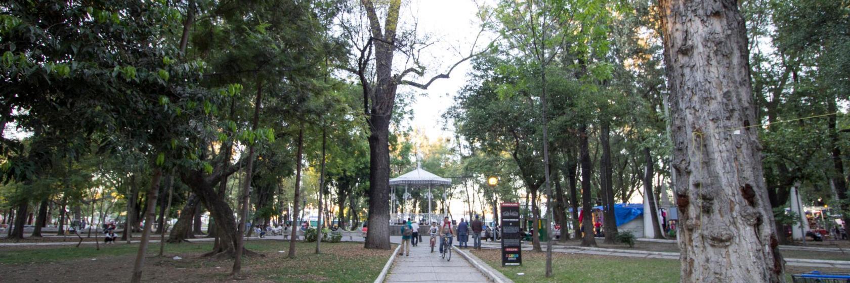 Parque Morelos