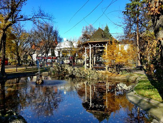 Parco Ion Voicu